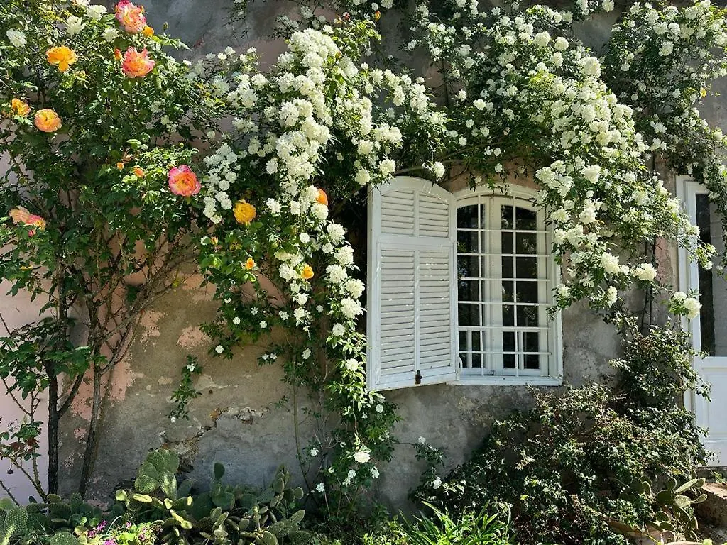 Country House With Garden&Private Parking! Apartment Livorno